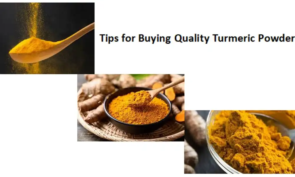 Tips for Buying Quality Turmeric Powder